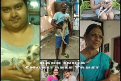 8fb23ad4-ffca-4cf2-b552-aed7e43a8633