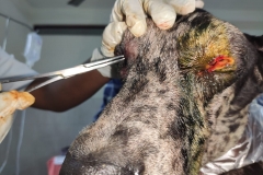 16ea2dec-9c81-4d00-9fc9-613d1f778c7e