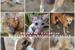 22b9e395-e2d5-45f5-a117-a2843b040696