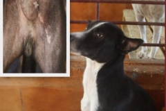 5cdd1aa5-cb12-4ca6-a87d-0dfeecddf2aa