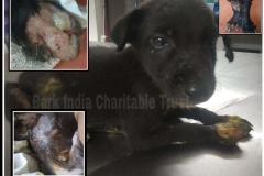 72f55075-99e8-46b0-abac-38da8e21d68a