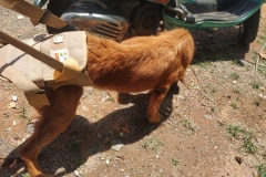 821cf972-90f7-44ad-ab4f-dce2920beeae