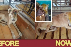 8341345a-aaa8-4910-bfa4-37f32b5a9223