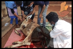 PicsArt_09-18-10.12.59