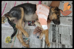 Picsart_22-09-01_10-41-33-2511