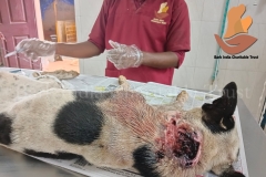 Picsart_22-09-15_10-32-35-6251