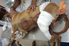 Picsart_22-09-22_09-27-13-7501