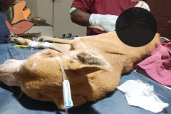 Picsart_22-10-04_09-31-26-9641