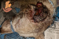 Picsart_22-10-07_10-54-43-4021