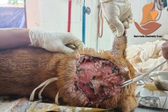 Picsart_22-10-18_10-55-17-9941