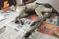 Picsart_22-11-24_11-20-42-2411