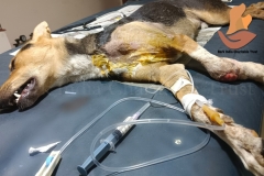 Picsart_22-12-06_11-52-12-8571