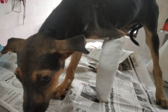 eacb2f56-54ca-43b0-8fdc-9b44b7e714b8