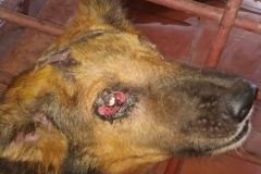 f2bc610b-a8ef-4c2c-b127-906cd69176a9