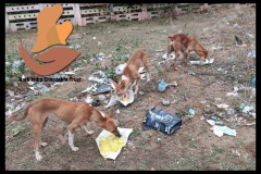 1_PicsArt_05-22-03.18.54