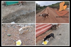 1_PicsArt_05-22-03.23.54