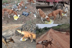 1_PicsArt_05-25-01.15.19