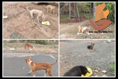 1_PicsArt_05-29-09.06.30