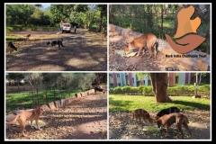 1_PicsArt_06-06-09.31.02