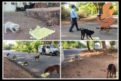 1_PicsArt_06-11-09.20.10