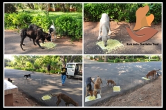 1_PicsArt_06-11-09.22.43