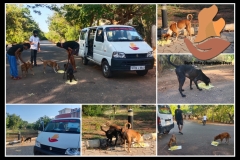 1_PicsArt_06-11-09.36.47