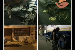 PicsArt_05-20-04.01.09