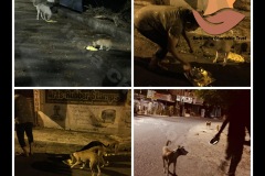 PicsArt_05-20-04.03.00