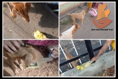 PicsArt_05-29-09.09.44