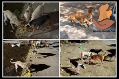 PicsArt_05-29-09.14.49