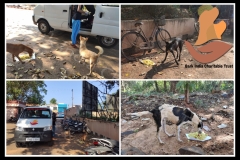 PicsArt_06-06-08.50.03