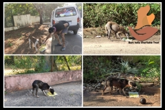 PicsArt_06-06-09.07.08