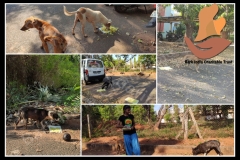 PicsArt_06-06-09.40.09