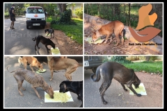 PicsArt_06-11-09.25.42