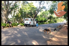 PicsArt_06-11-09.28.04