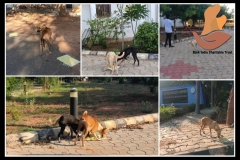 PicsArt_06-11-09.34.33