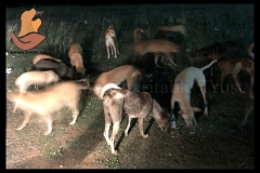 Picsart_22-08-07_12-01-32-402