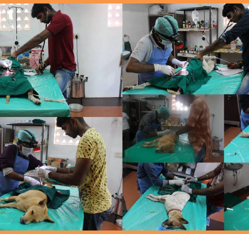 A milestone in our history !!!