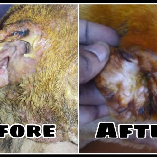 PicsArt_05-19-10.59.10 15044