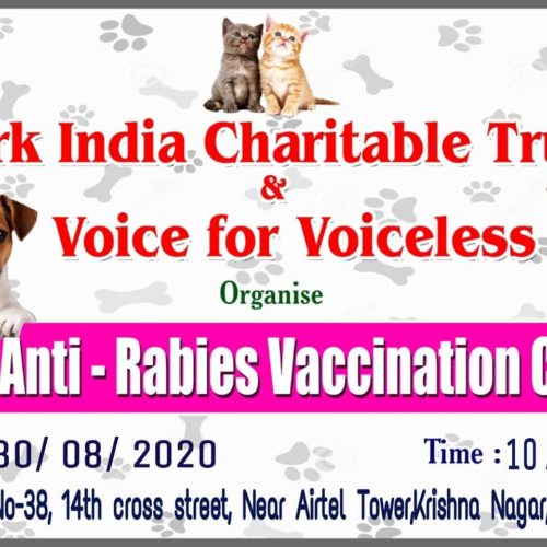 Free anti-rabies vaccination for pets, community dogs and stray dogs