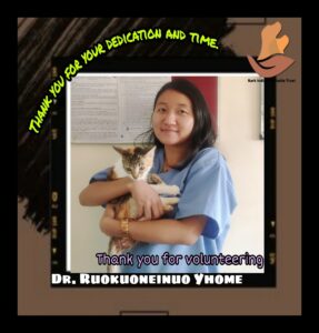 Thank you for volunteering