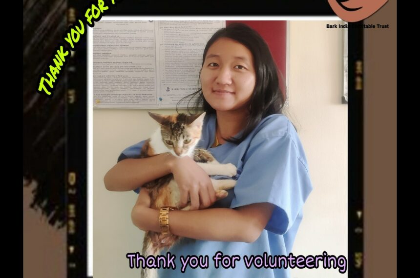 Thank you for volunteering
