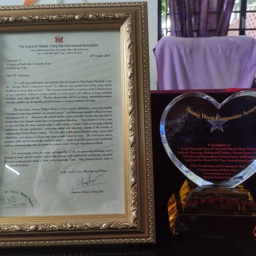 Shining world Compassion Award