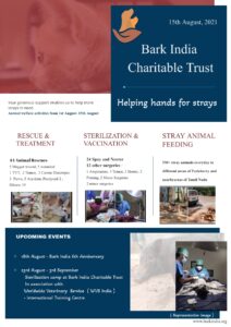 Animal welfare charity