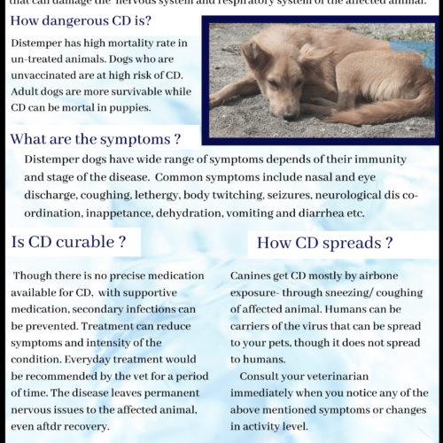 Canine Distemper- CD- in dogs Canine Distemper in dogs