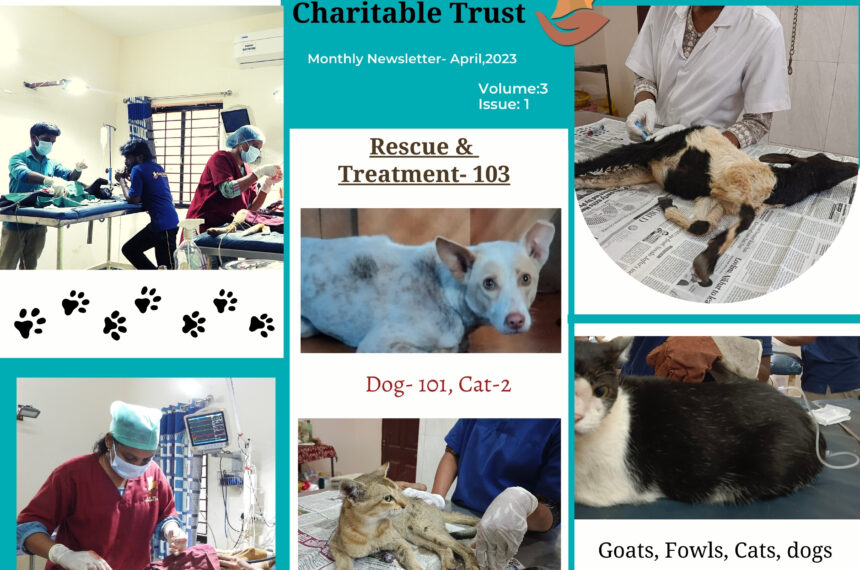 Animal rescue, treatment, outpatient, dog treatment, spay and castration, other surgeries,vaccinations, stray dog feeding