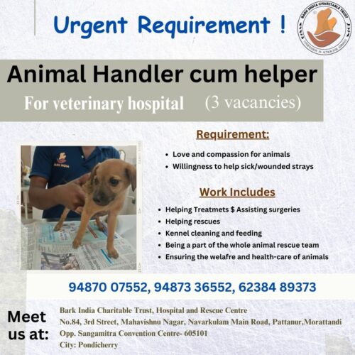 Urgent Requirement Staff wanted for animal rescue Organization- Pondicherry